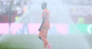 ديوماندي